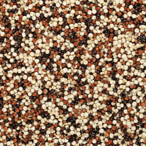 Organic Tricolour Quinoa BULK
