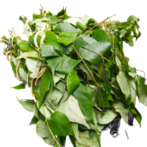 Uziza (Hot leaf)  – Bundle