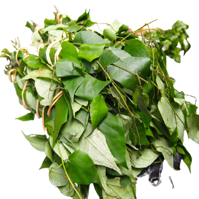 Uziza (Hot leaf) – Bundle