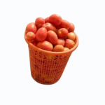 Fresh Tomato – Basket