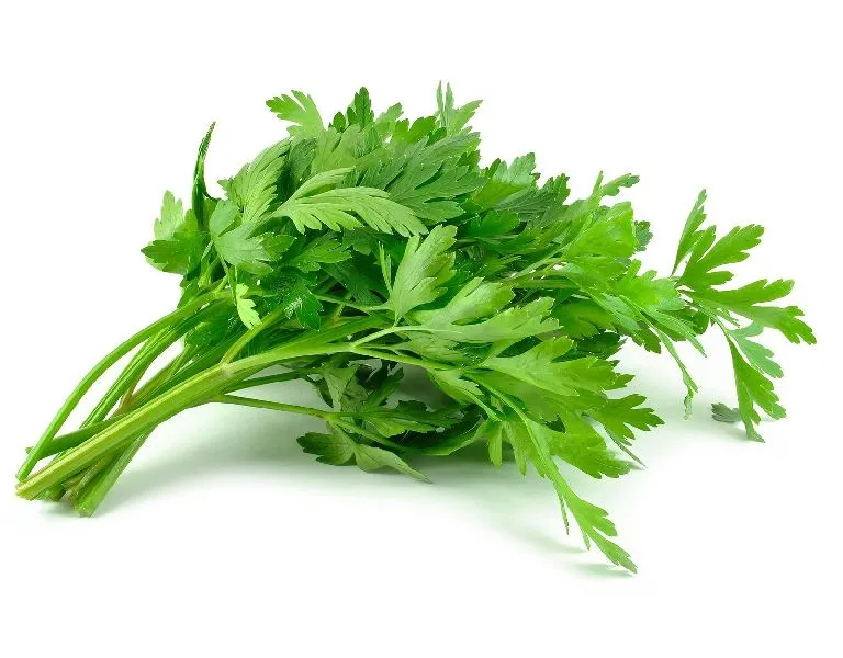 Celery leaf (Bunch)