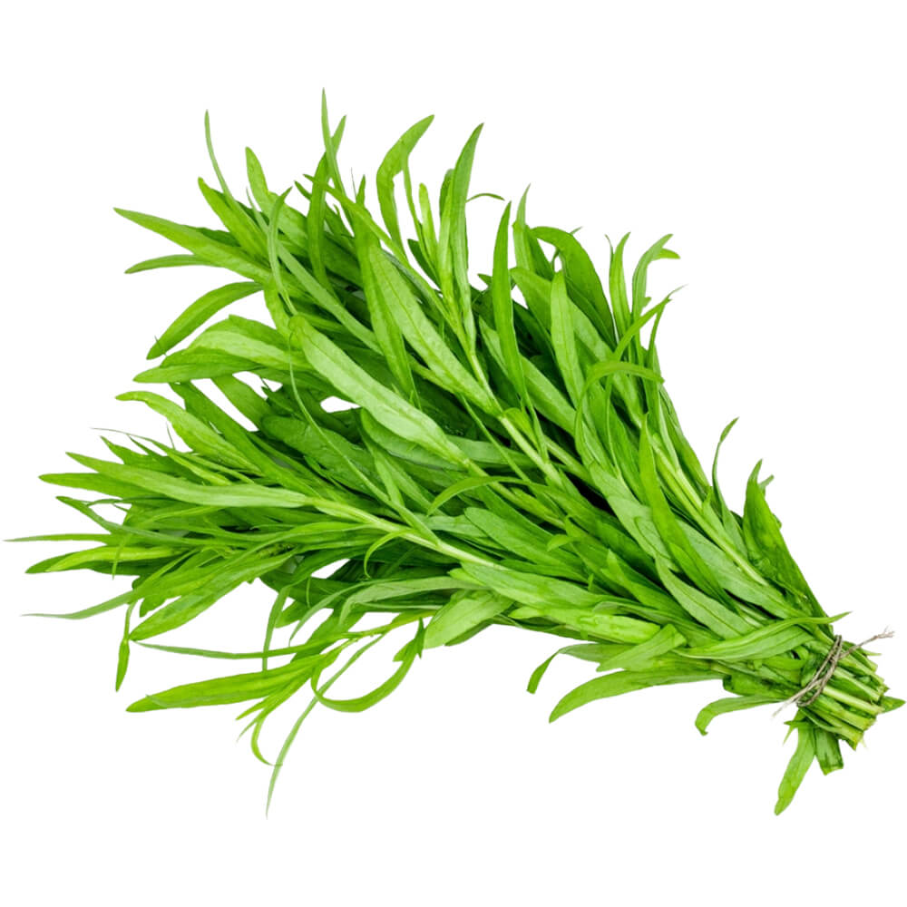 Tarragon - Image 2