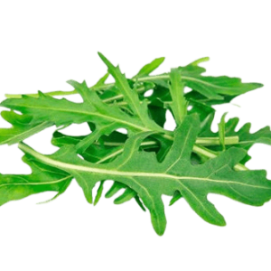 Wild Rocket Sanitized